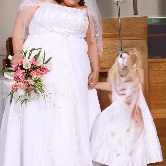 David's Bridal Dresses & Skirts - Wedding dress